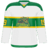 men's ice hockey jersey